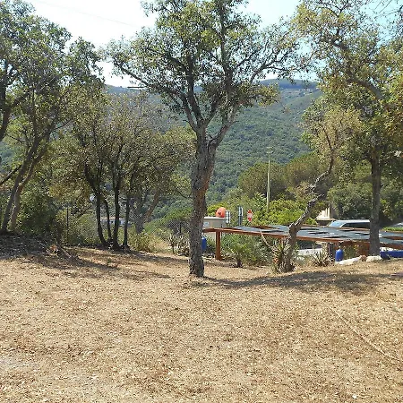 דירה Capoperla App Ferrato