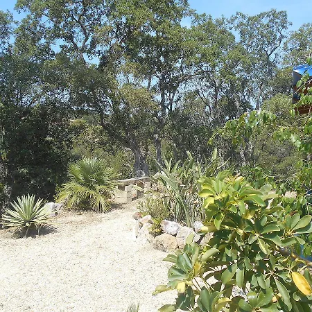 Capoperla App Ferrato * קאפוליברי